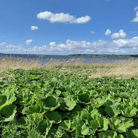 5 Star In Logstrup * Hjarbaek